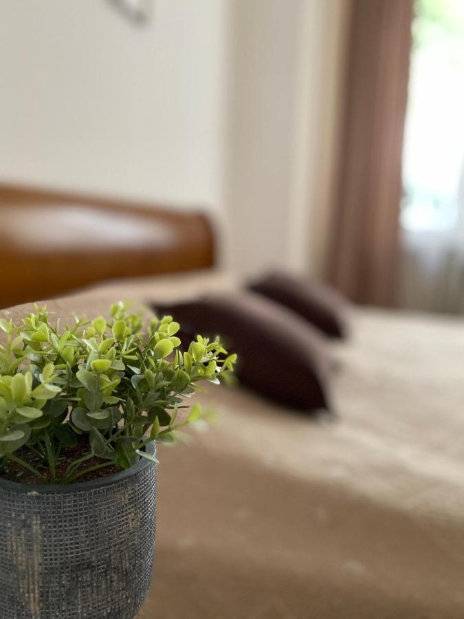 Family Apartment Lviv Ngoại thất bức ảnh
